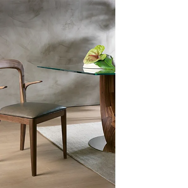 Sedia Gaya in legno massello con seduta in pelle imbottita di Pacini e Cappellini