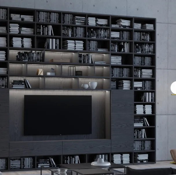 Libreria Orizzonte con vano TV di Linegianser